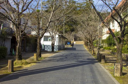 蒲生八幡神社 参道