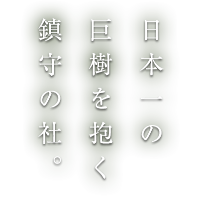 日本一の巨樹を抱く鎮守の社。