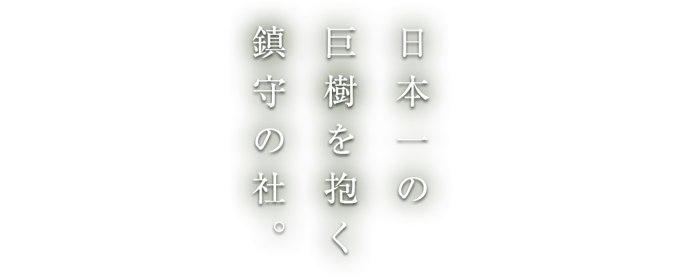 日本一の巨樹を抱く鎮守の社。